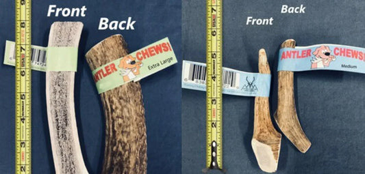 Medium & Extra Large Wholesale Antler Chews Explained