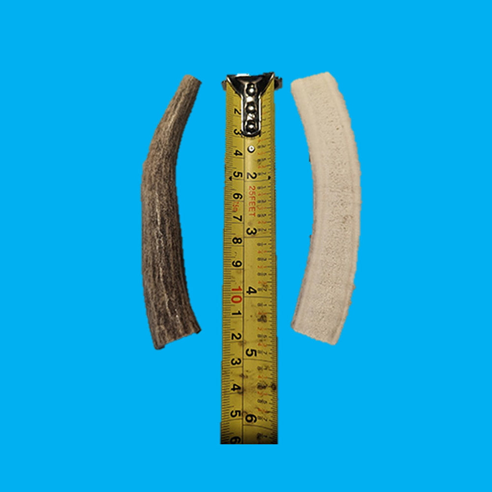 Antler Chews For Smaller Dogs