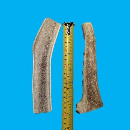 Antler Chews For Larger Dogs