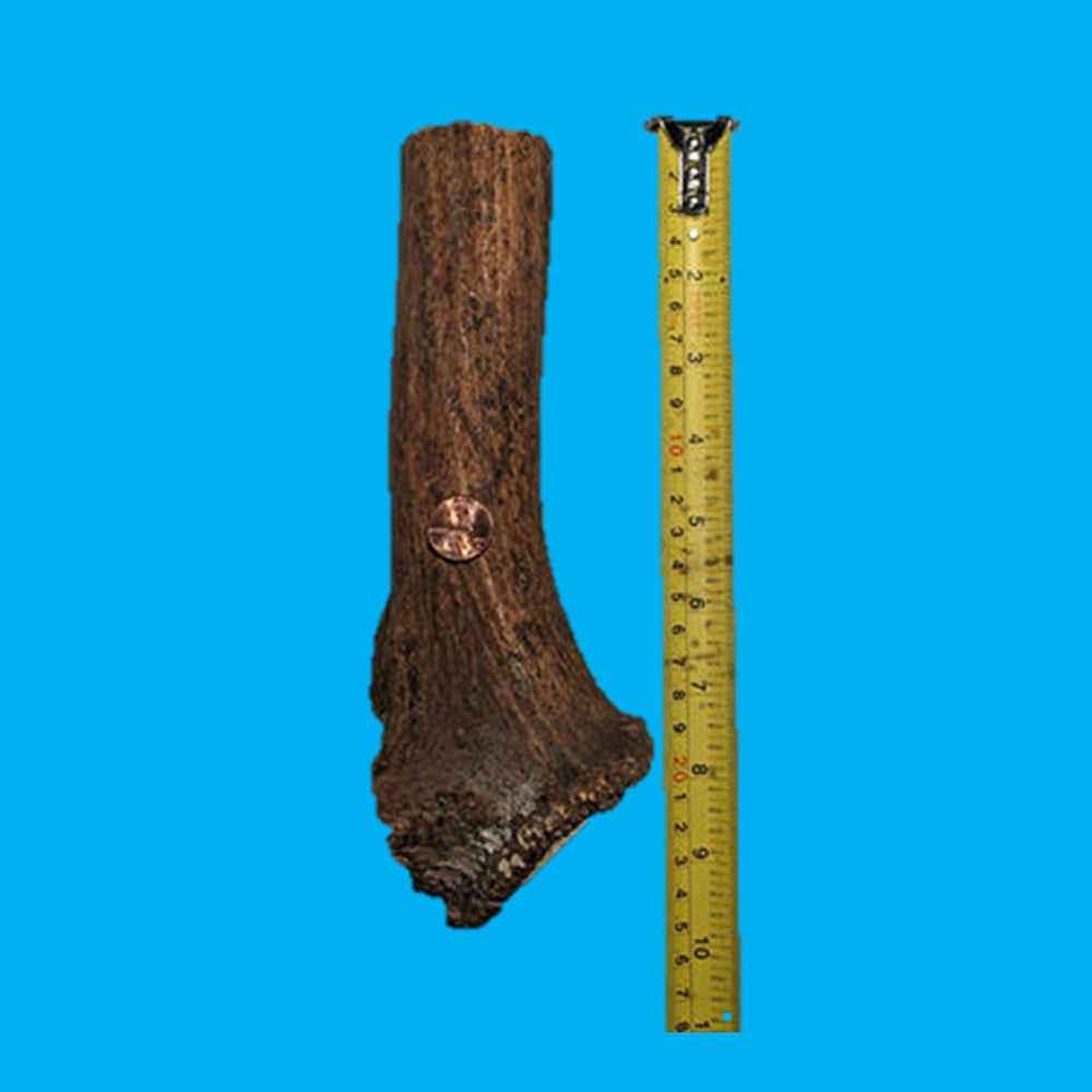 “KONG” Antler Chews For Large Dogs