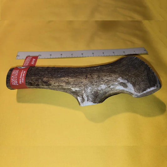 “KONG” Antler Chews For Large Dogs