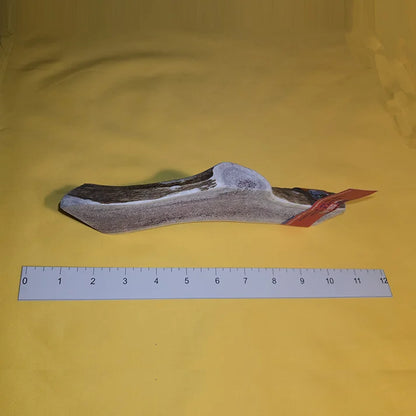 “KONG” Antler Chews For Large Dogs