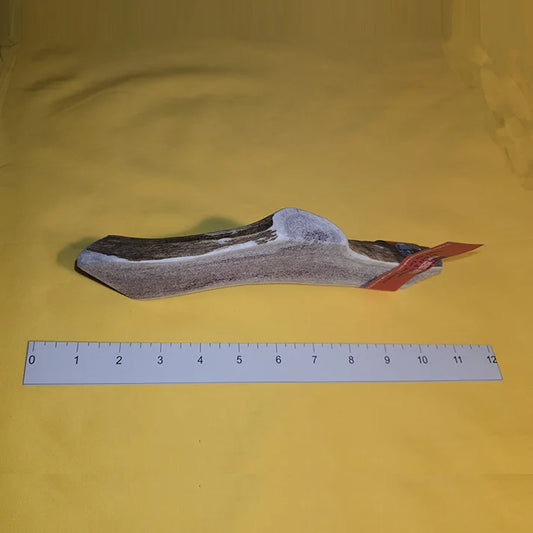 Wholesale Kong Antler Chews