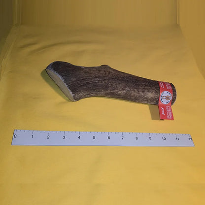 “KONG” Antler Chews For Large Dogs