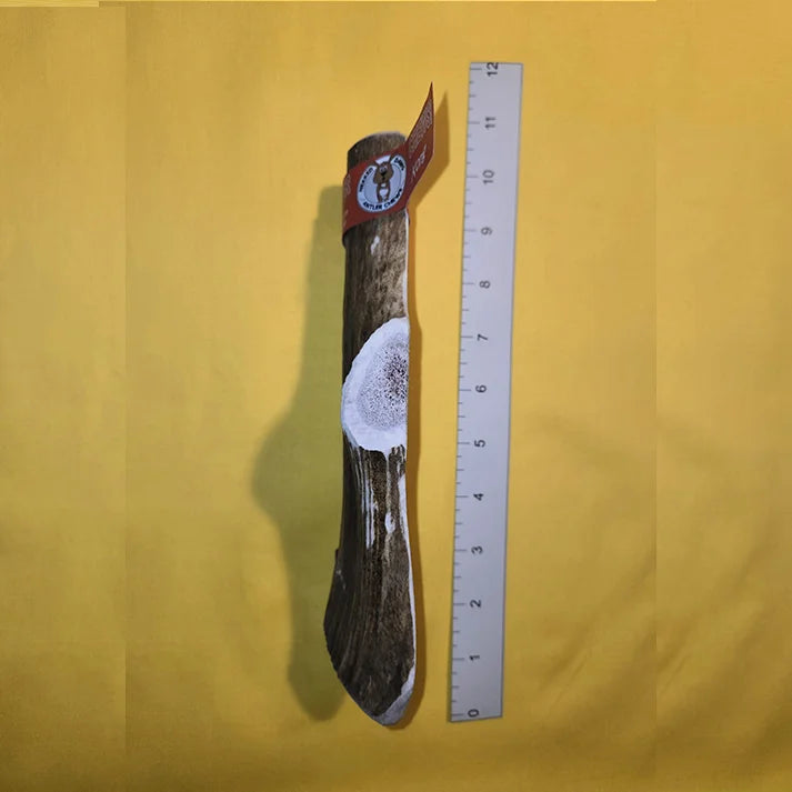 “KONG” Antler Chews For Large Dogs