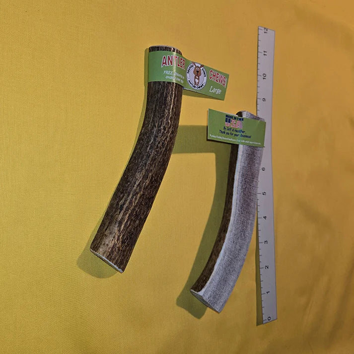Antler Chews For Larger Dogs
