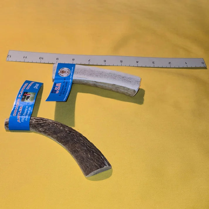 Wholesale Antler Chew Single, Small