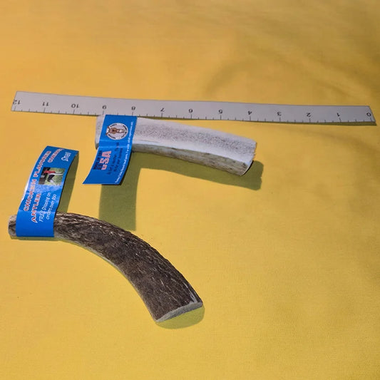 Wholesale Antler Chew Single, Small