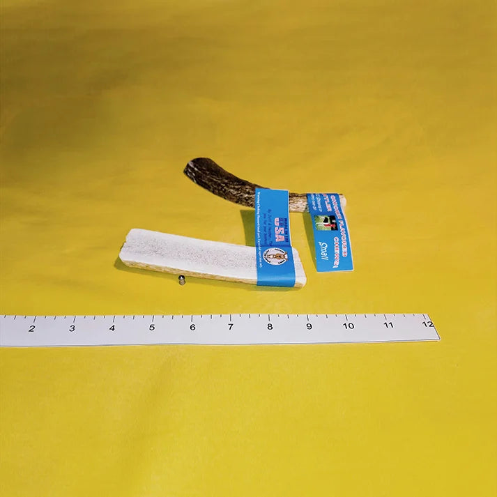 Wholesale Antler Chew Single, Small