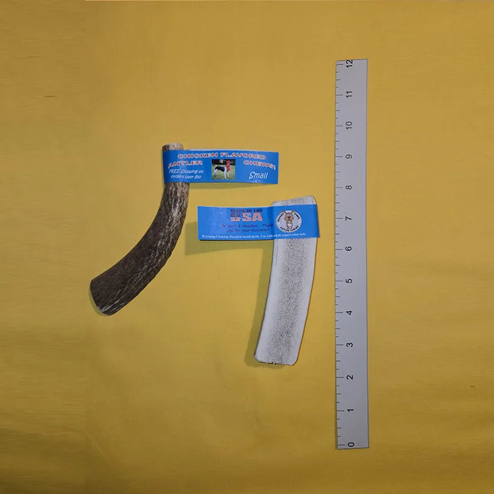 Wholesale Antler Chew Single, Small