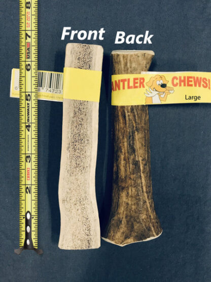 Wholesale Antler Chew Single, Large!