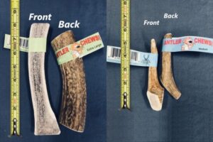 Medium & Extra Large Wholesale Antler Chews